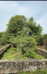 Full boundary plot  for sale
