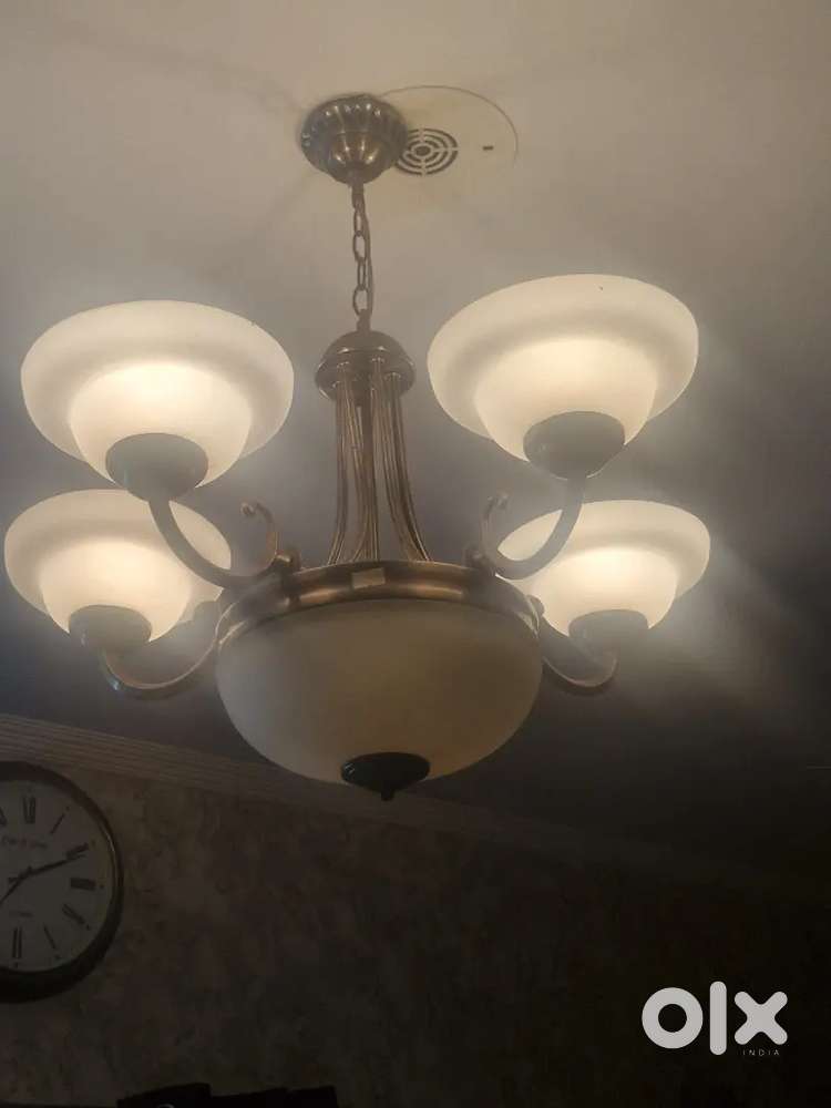 Jhoomer lights for drawing room along with bulbs.