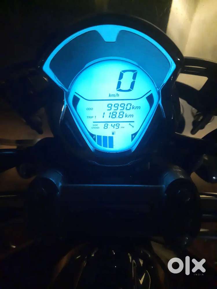 Bajaj Avenger 220 Cruise