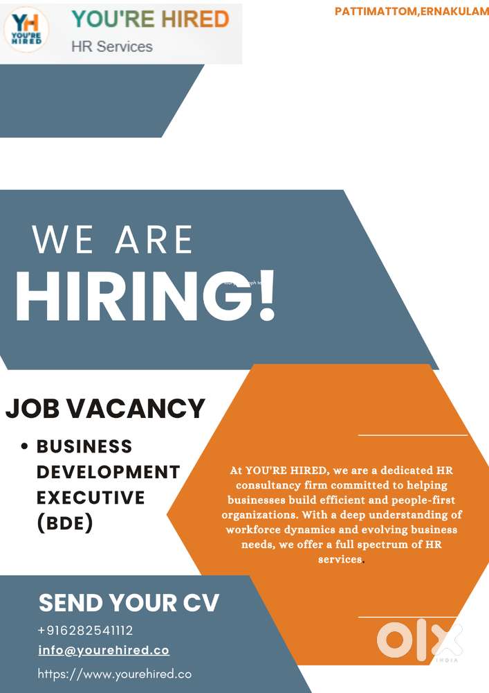 Business Development Executive