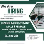 SENIOR ACCOUNTANT -M/F