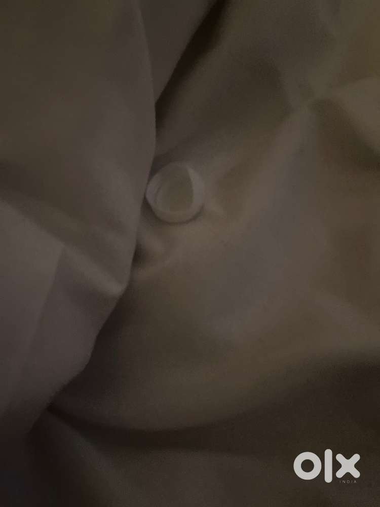 We need continential italian chef