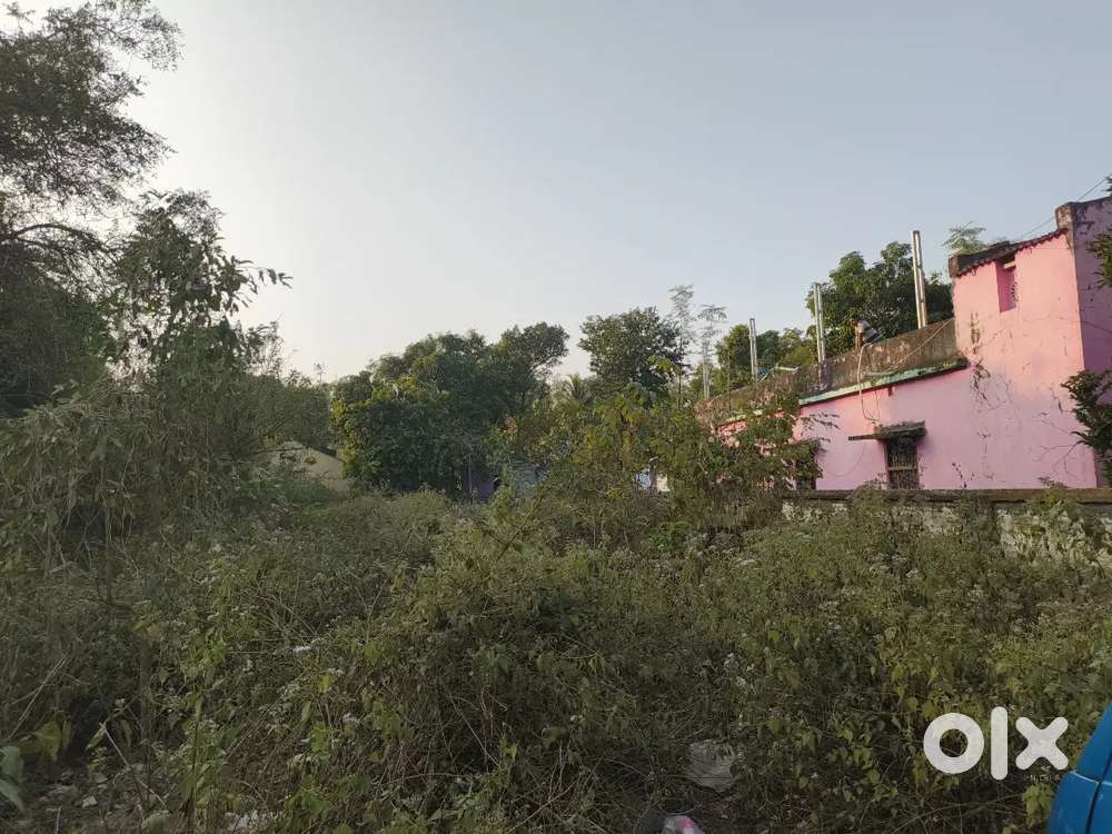 Prime Residential Plot near Udala College – 40×150 ft – Hurry!