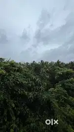4 സെന്റ് വസ്തു ആവശ്യമുണ്ട്