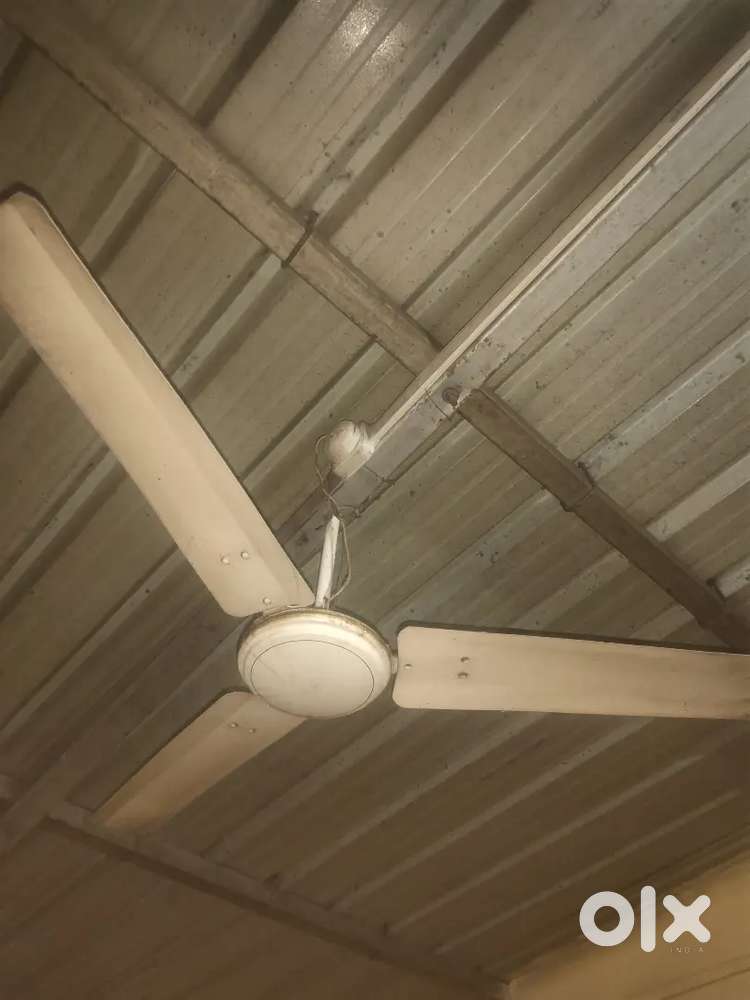 Selling fan