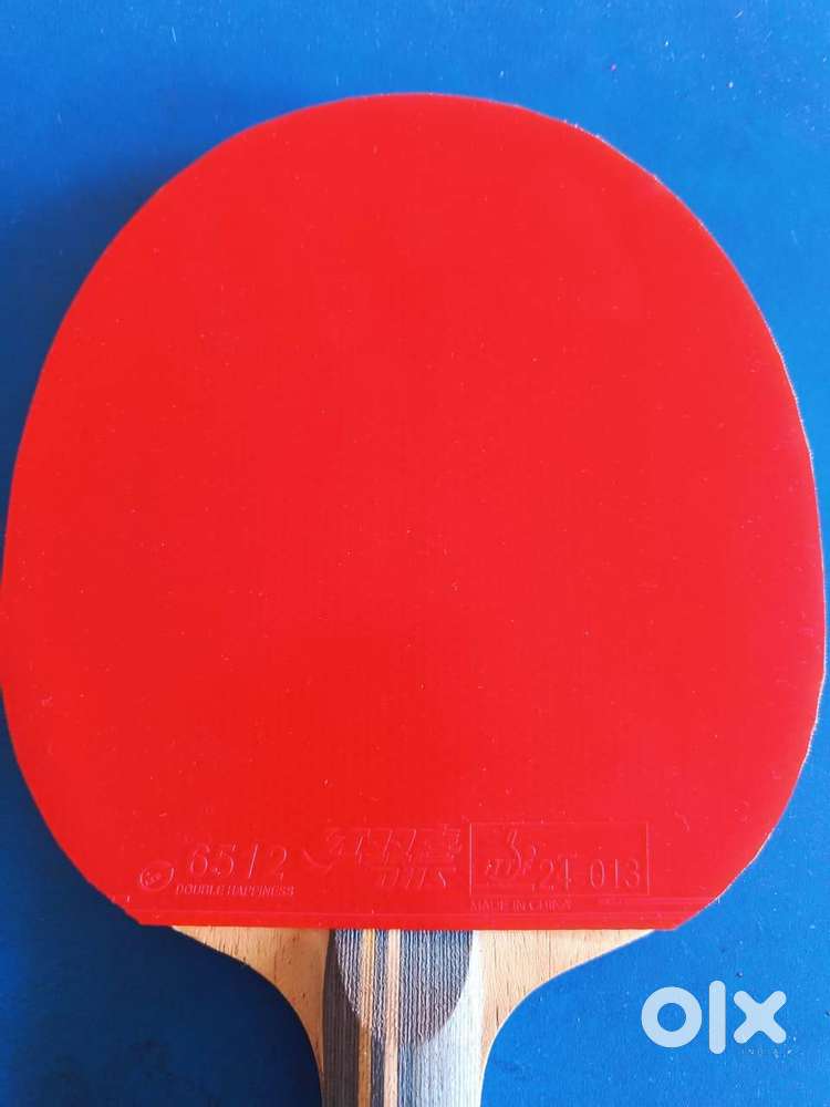 Assembled Table Tennis Racket + Cover (Yinhe , DHS, Sanwei)