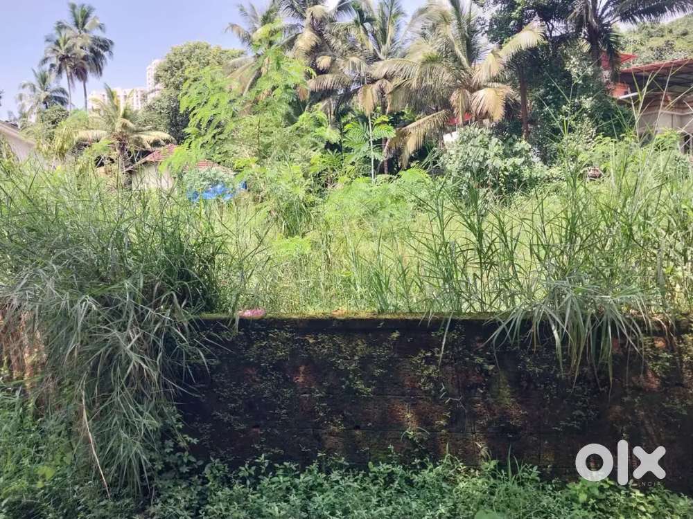 17.75 cents land near kadri mangalore