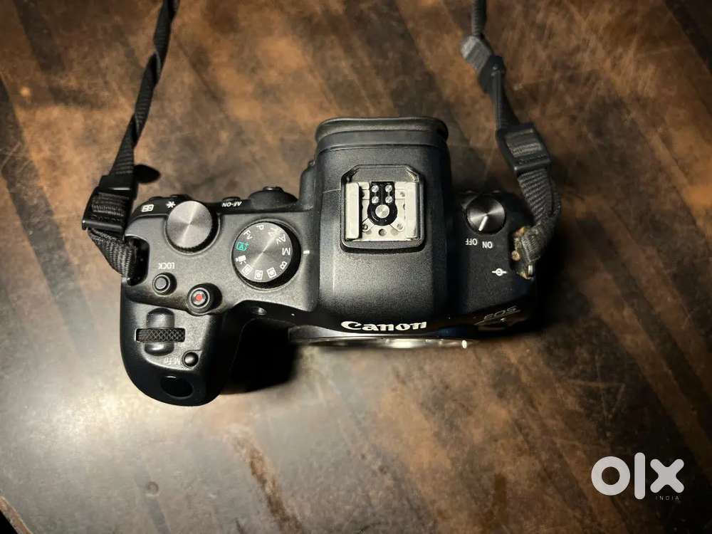 Cannon R6 mirrorless camera