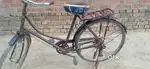 Bicycle in chokleti colour