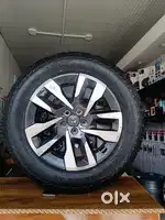 19 inc thar rox alloy’s