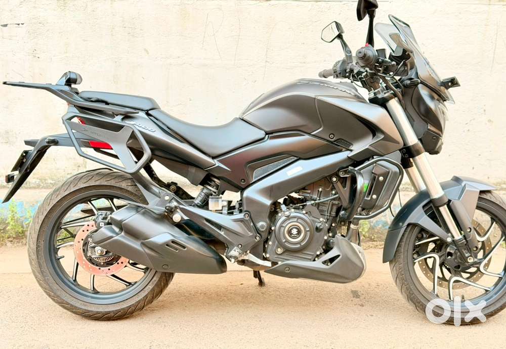 3 months old Dominar 400