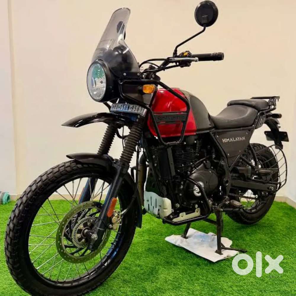 Red and Black Himalayan