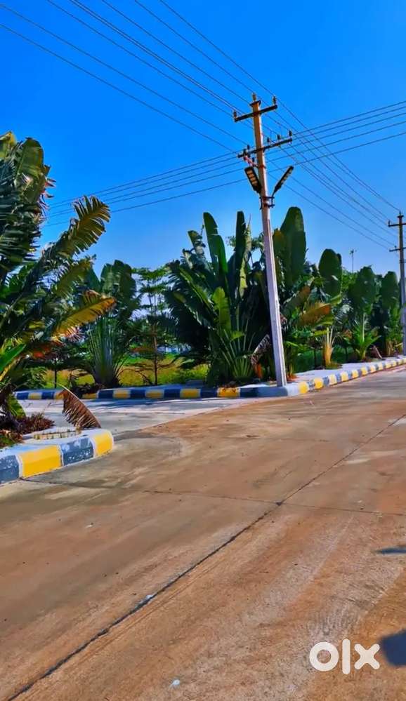 Bibi Nagar Open Plot for Sale - 167 Square Yards - Clear title