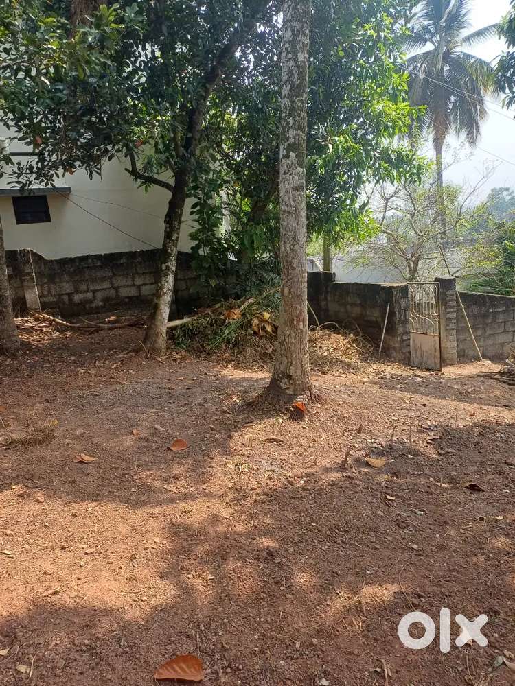 PLOT FOR SALE NEAR POOJAPPURA TVM