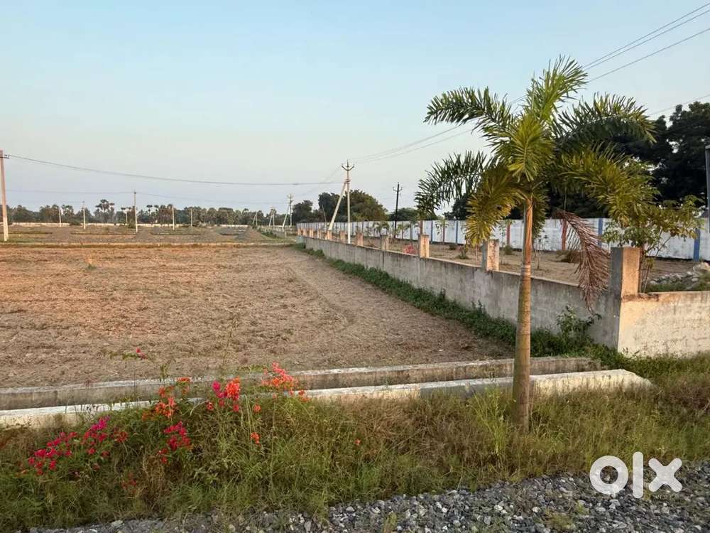 No Meditation Direct Sale