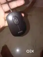 Computer mouse
