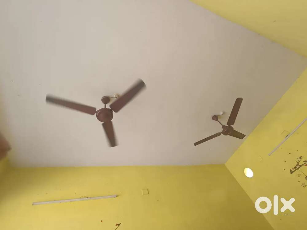 Two fans crompton (3mnt new)