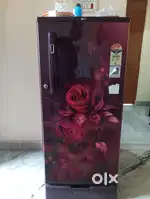 LG SINGLE DOOR