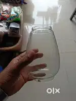 Fanus glass