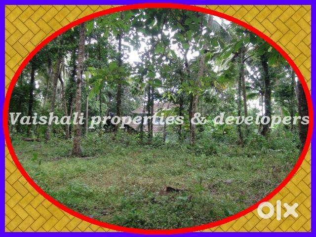 For Commercial use - 45 cents Plot for RENT in near Nadakkavu