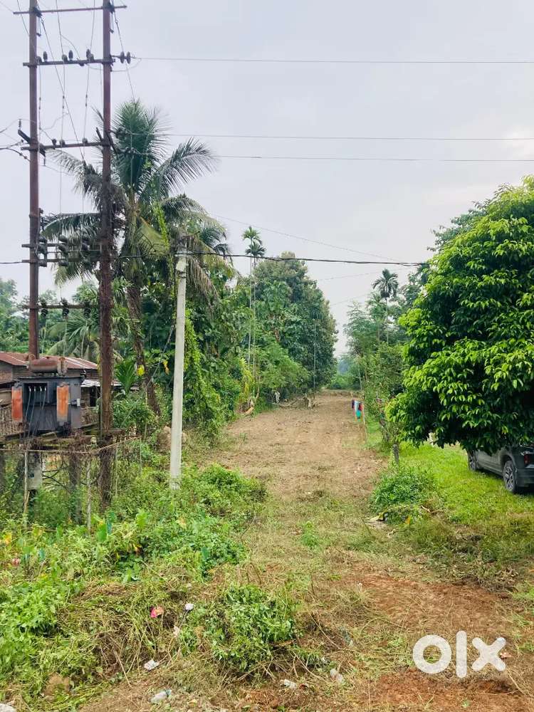 MORIGAON DHARAMTUL 4KOTHA 9 LESSA HIGHWAY PLOT FOR SELL