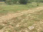 7 acers agriculture land one bore well Piler to 28 kms