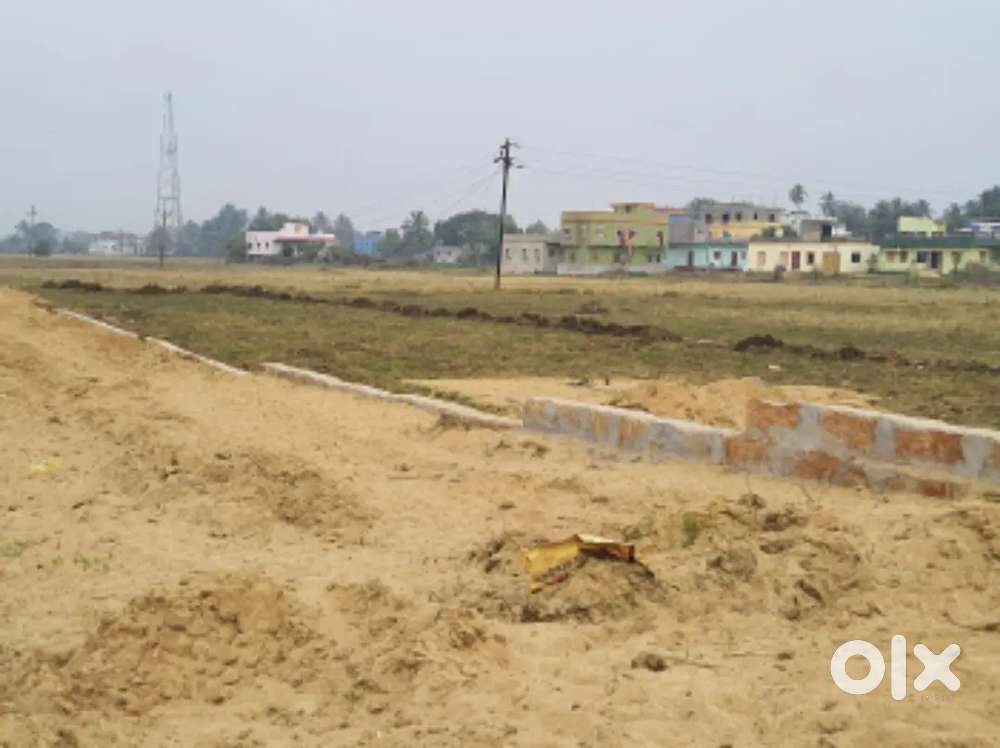 Plot 200mtr  away from Trishulia traffic