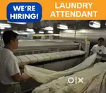 Laundry Staff