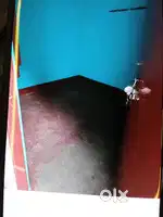 house Room rent