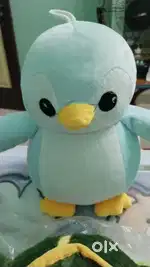 Need female roommates.rent sharing 3000.advance 10000