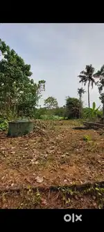 8.4 cent Rectangular plot 13.7 m width frontage