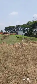 Plot for sale commercial near 544 NH , 3 km far from palakkad town