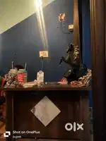 Need cook for chinese item