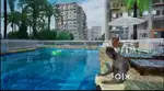 3/4/5BHK Flats and Pent House in Saraidhela Dhanbad.