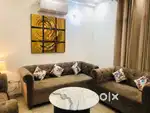 Ultra luxury flat 3 bhk fully furnished owner Free only family
