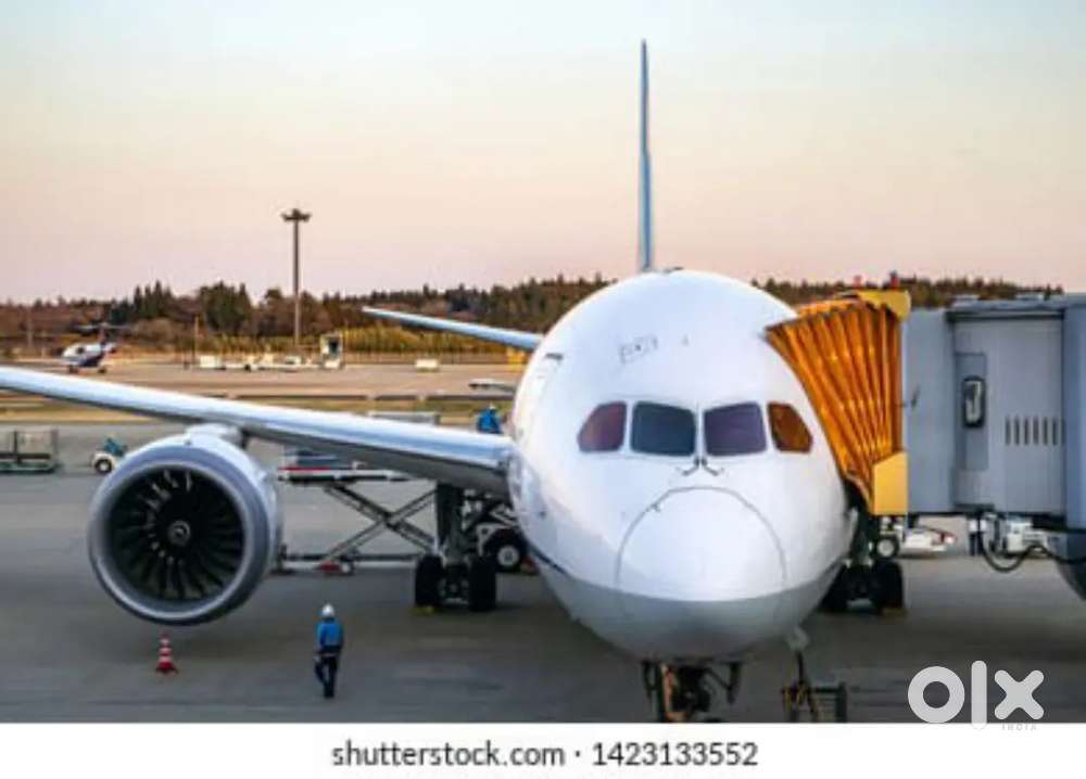 Indigo Airlines Jobs /Vacancy for Airport Ground Staff / Driver / Crew