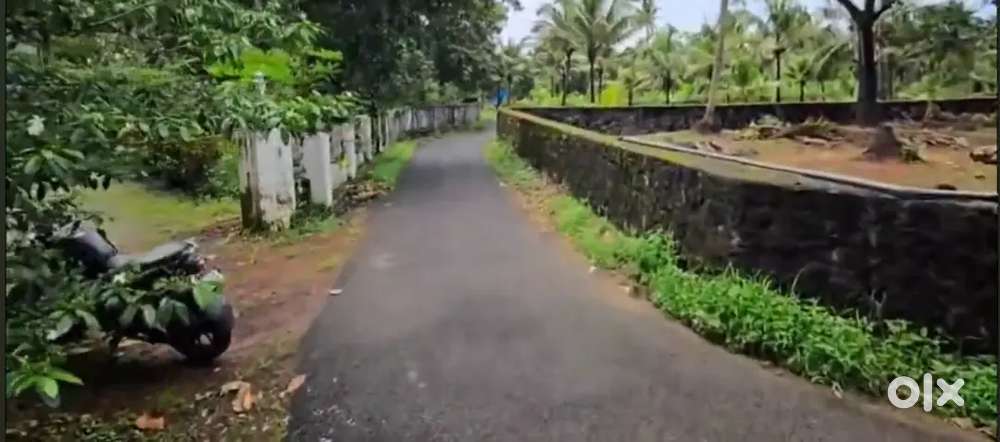 Chalakkudy perambra 9 cent house plot for sale immediately