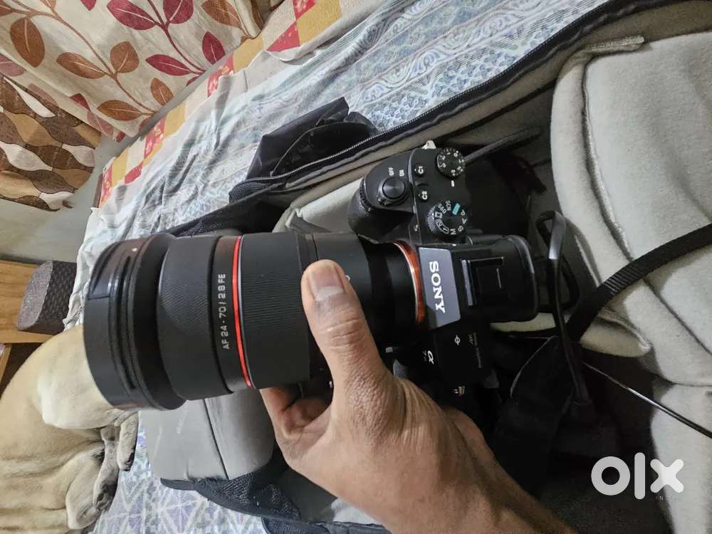 Sony A7m3 with samyang lense