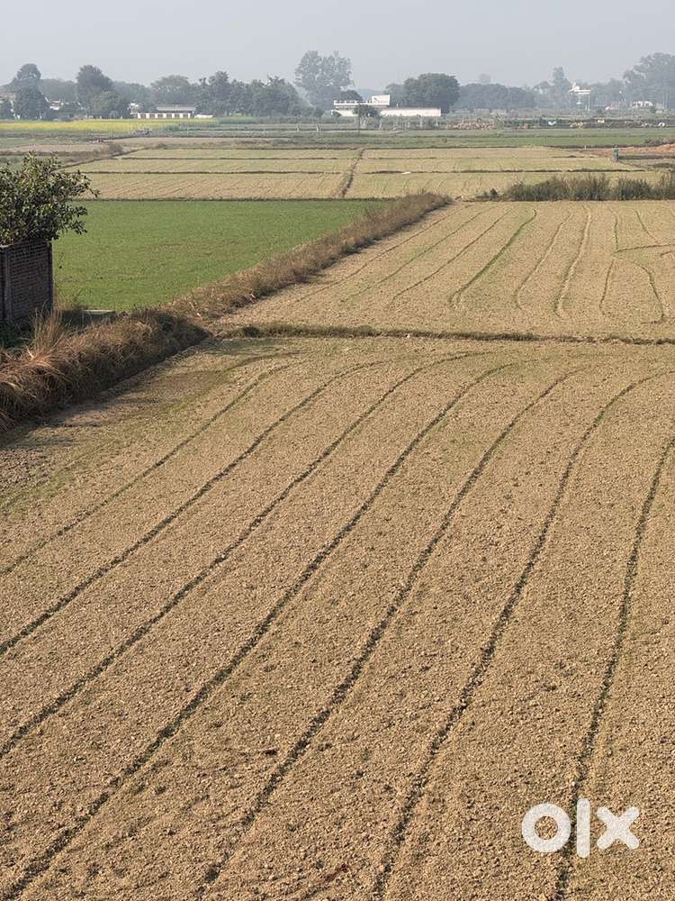 5.5 bigha land and buidup area for godawn n office n for house