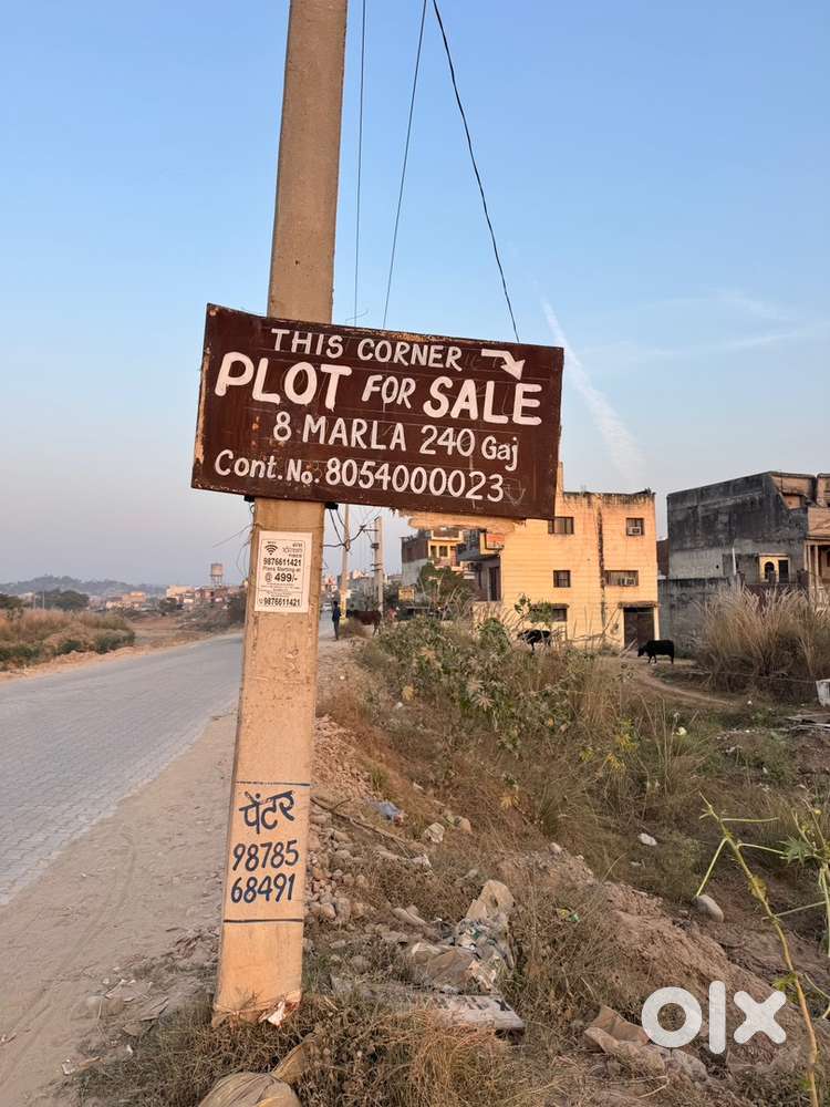 Nayagaon to Nada Main Road