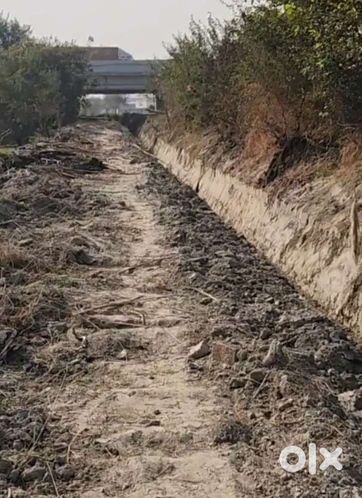 1760 gaj field,farm or khet located near by kuri khera