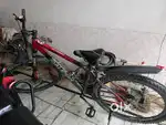Raleigh cycle