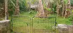 7 cent plot urgent sale