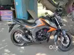 Honda Hornet