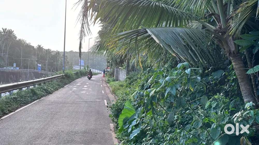 Near Kanjiramkulam bypass junction