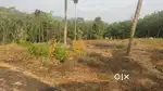 20 cent plot at koorali , ponkunnam