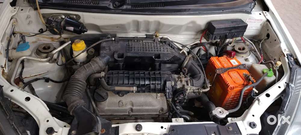 Car alto 800