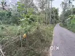കേണിച്ചിറ-പുൽപള്ളി റൂട്ടിൽ 74 സെന്റ്  സ്ഥലം വില്പനക്ക്