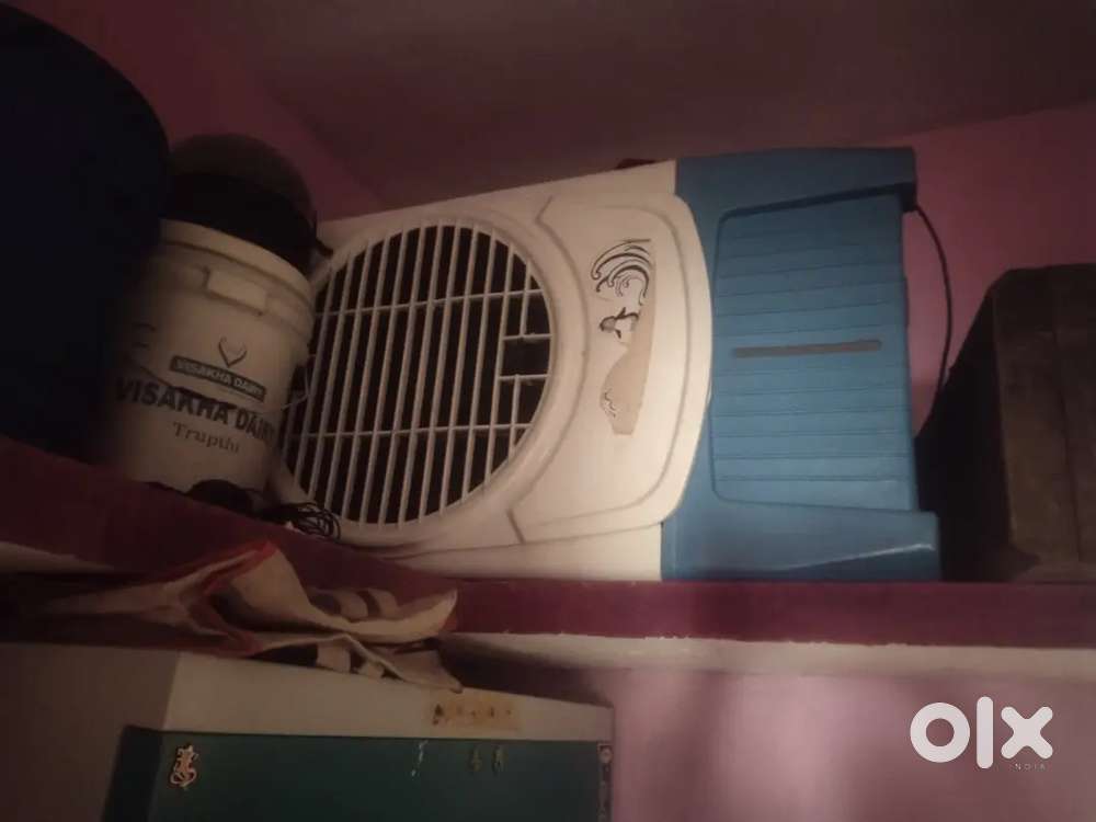 Cooler 1 year old