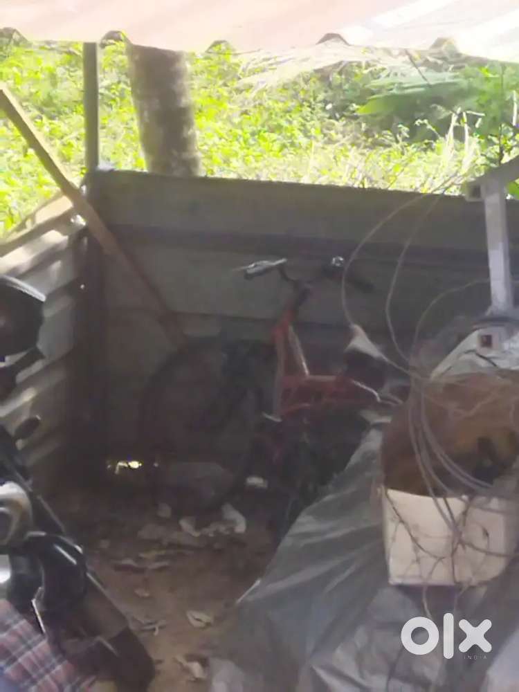 Old cycle  blablabla